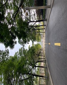 QQ图片20200619083420