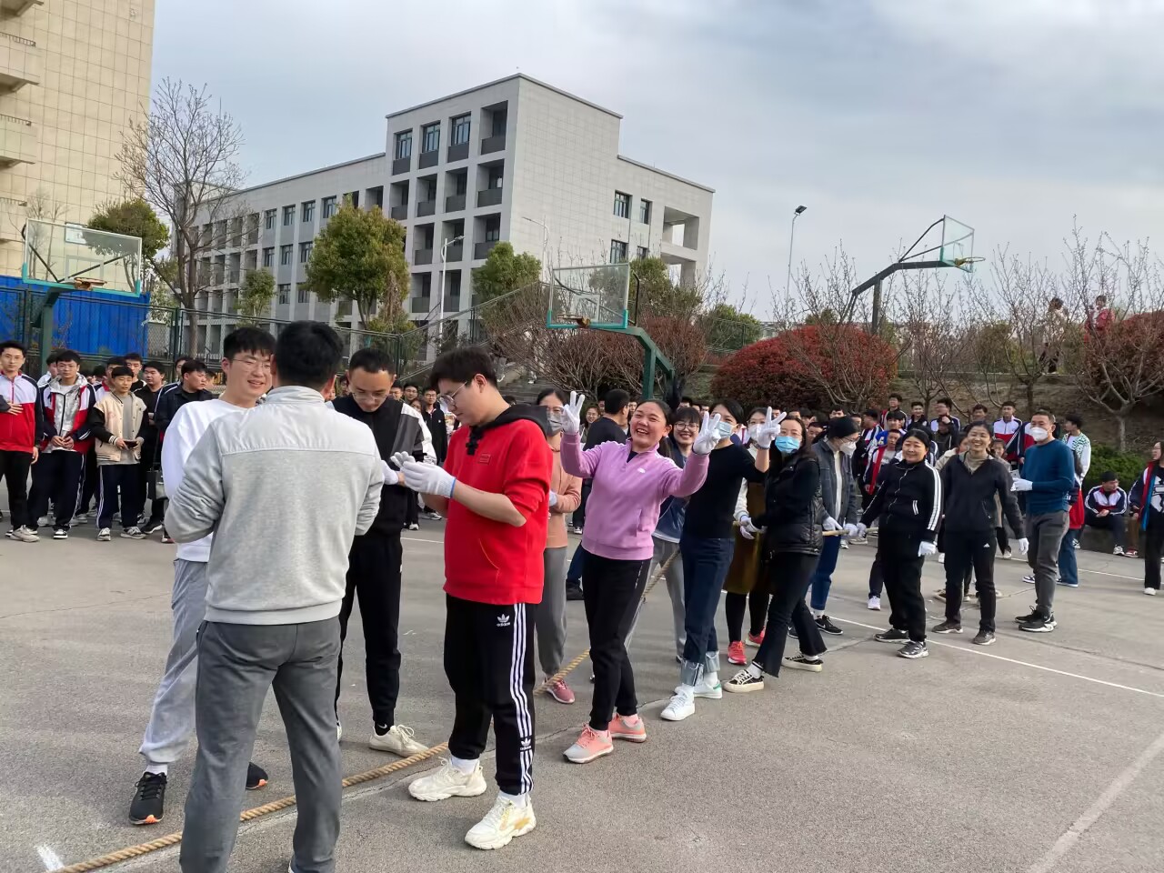 QQ图片20230330074619