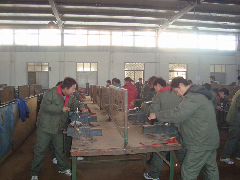 DSC02489.JPG