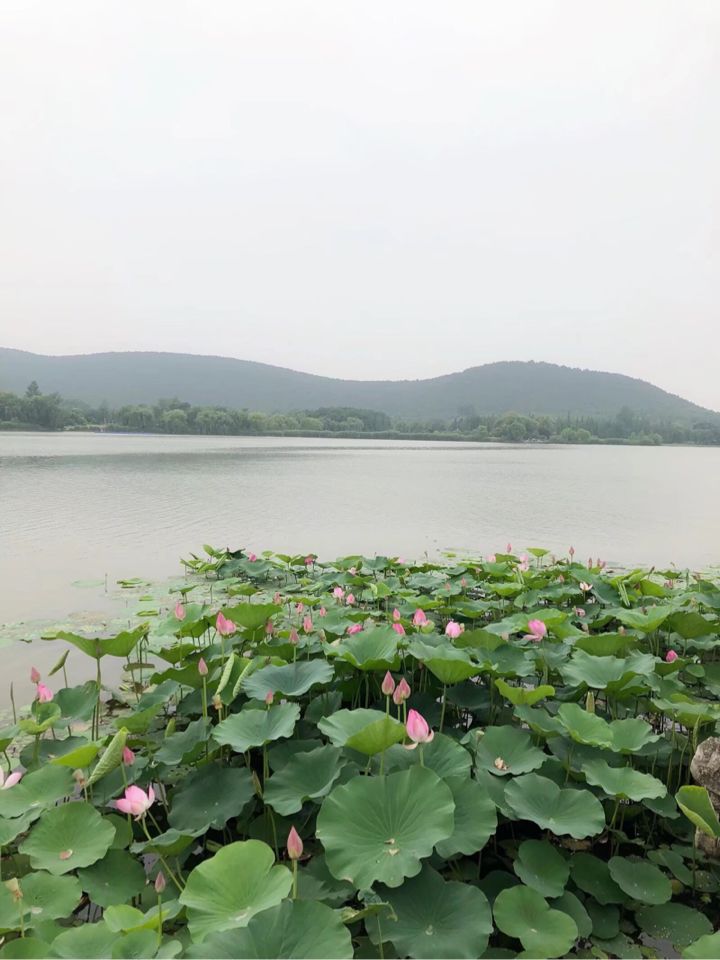 https://mmbiz.qpic.cn/mmbiz_png/QsAtBZK3tiaibsuCykNJEz2eoF3aWezebDLEqwKjibUhvTtOQ72yEW2icTEIDO2QvOGgXRYS2SYsboc7yyibsiaiaKDBw/640?wx_fmt=png&tp=webp&wxfrom=5&wx_lazy=1&wx_co=1